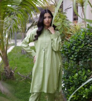 2-Piece Stitched ladies outfit