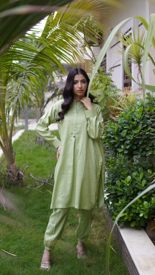 2-Piece Stitched ladies outfit