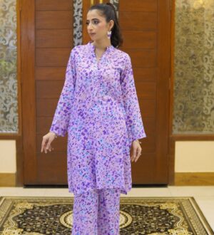 2-Piece Stitched ladies outfit