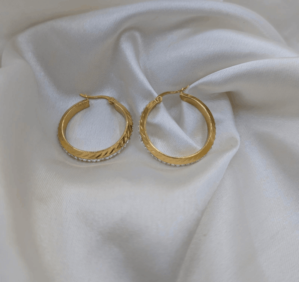Earrings Big Circle